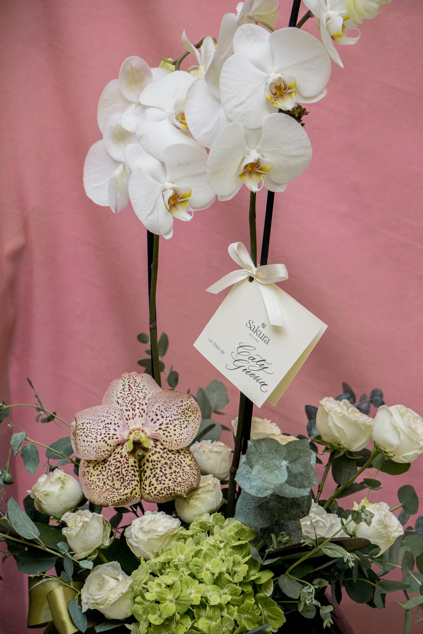 Nicky, arreglo floral de orquídea en planta con rosas y hortensia